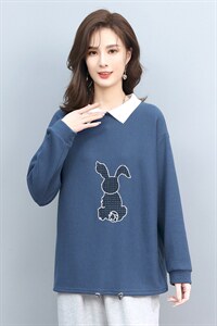 卫衣女春秋宽松大码显瘦拼接刺绣卫衣女T恤两件套图片