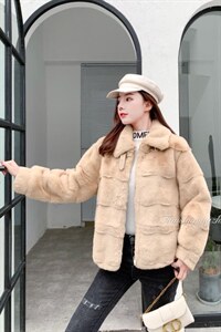 丹麦貂系列产品上市图片