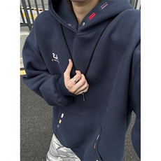 2025秋季新款刺绣宽松连帽卫衣男女B208-WY3908-P65，男装卫衣，电商B208