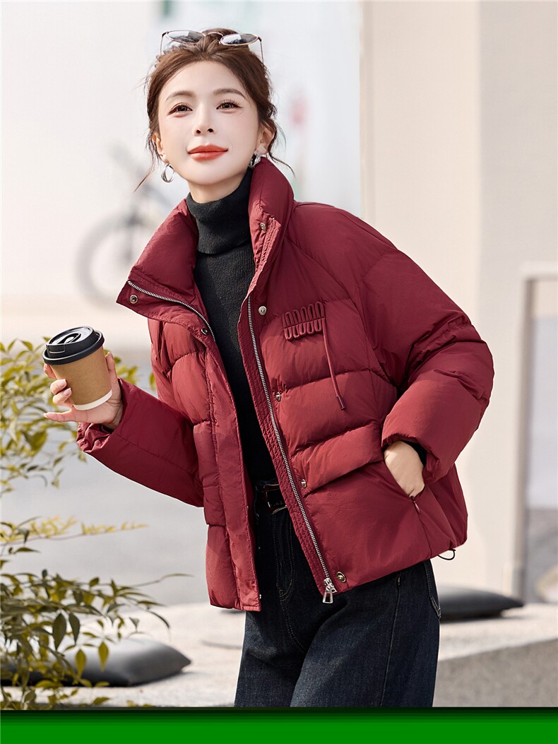 简约时尚潮流羽绒服休闲显瘦减龄冬季立领纯色女外套,女装羽绒服,姿衣坊