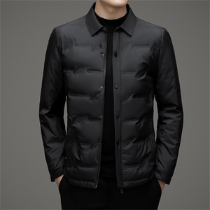 V3127钱塘2020-3时尚休闲冬季厚款中年男士90鹅绒羽绒服P198图片