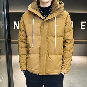 AK87816钱塘2020-3简约时尚休闲冬季厚款中年男士羽绒服P185图片