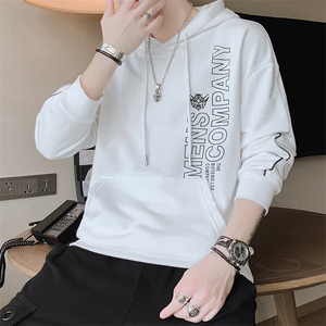 秋季卫衣男连帽潮ins春秋宽松潮流百搭2021新款男士秋装9080-P30图片