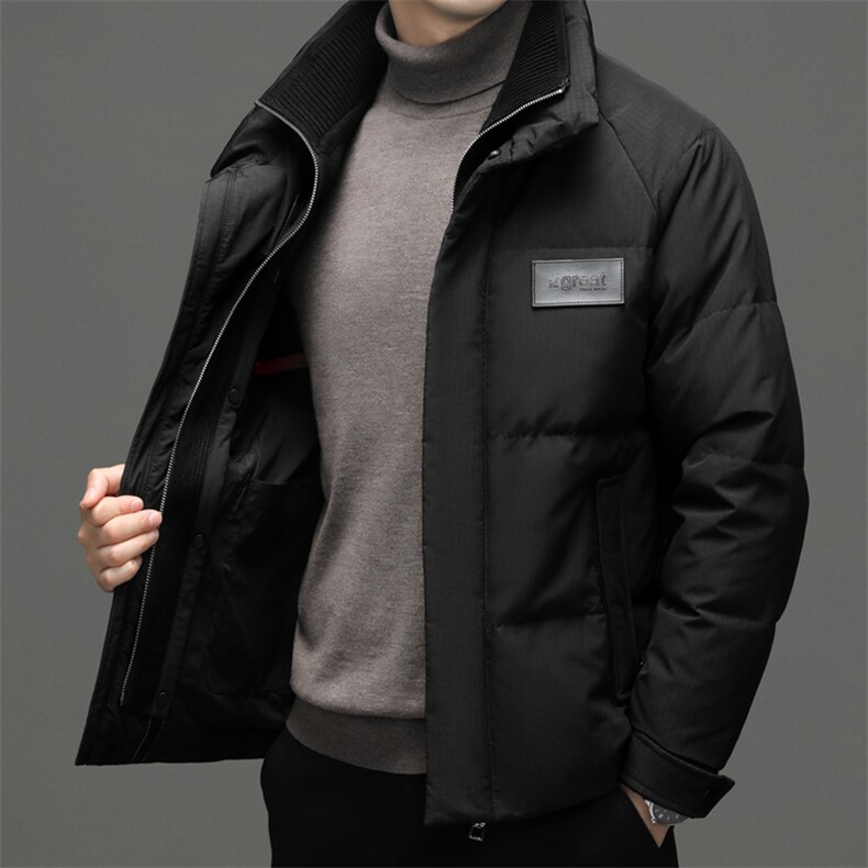 DF8203钱塘2020-2冬季时尚简约厚款新款中年男士羽绒服P335,男装羽绒服,钱塘207-2