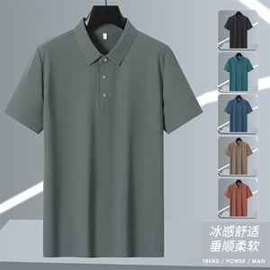 2025年夏季新品 翻领Polo冰丝短袖 锦纶品质HS1367-P38图片