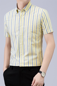 Z-D1405夏季新款男士短袖经典条纹衬衣百搭衬衫商务男装图片