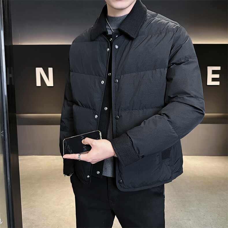 90新标假两件白鸭绒加厚保暖简约休闲羽绒服外套75511-P290,男装羽绒服,电商A413