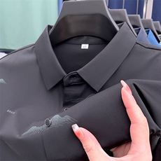 新款polo衫男士短袖t恤夏季薄款翻领半袖商务休闲潮牌衣服，男装T恤，电商B212（原钱塘6029）