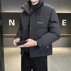 店主风2025年新款时尚立领潮流保暖羽绒服男A236-G93-P185，男装羽绒服，电商A236