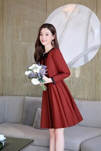 现货，春季新款，韩版蝴蝶结连衣裙图片