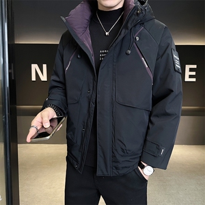 M-3XL 24605-P215 298 标50绒 连帽冲锋衣羽绒服男图片