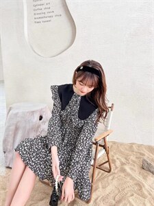 韩式大翻领印花连衣裙图片