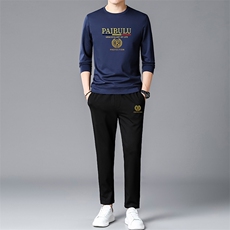 时尚运动服套装男士春秋季新款潮牌宽松休闲圆领卫衣长裤子两件套，男装休闲套装，电商B212（原钱塘6029）