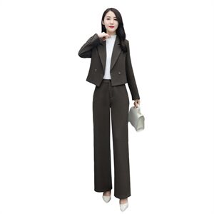 2020冬季时尚百搭复古两件套通勤气质翻领女图片