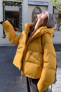 韩系橙色立领羽绒服女冬2025新款超火好看高级小众保暖加厚短外套图片