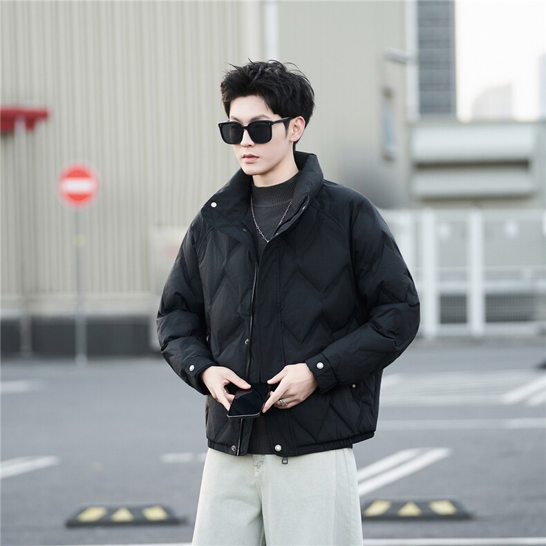 标50绒男士立领短款羽绒服休闲保暖外套B338-88159-P225,男装羽绒服,电商B338