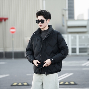 标50绒 男士立领短款羽绒服休闲保暖外套 B338-88159-P225图片