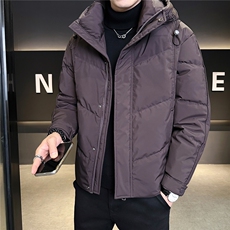 标50绒连帽男士羽绒服冬季2025新款加厚外套A313-9957-P215，男装羽绒服，电商A313