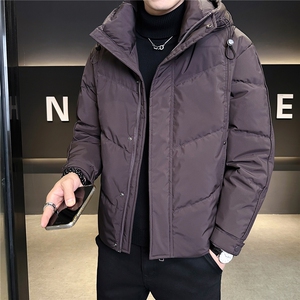 标50绒 连帽男士羽绒服冬季2025新款加厚外套 A313-9957-P215图片