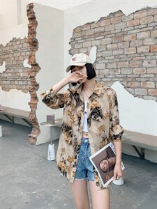 花衬衣,其它,红嘴鸥