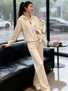 设计高级感休闲运动套装女春季新款气质减龄连帽卫衣阔腿裤两件套图片