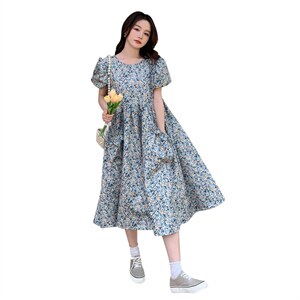 已出 现货 法式清新仙女裙251-25108-P105-K158图片