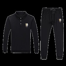 男士休闲套装秋季2023新款潮流纯色翻领长袖T恤中青年男装两件套，男装休闲套装，电商B212（原钱塘6029）