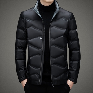 BAMJ-8907钱塘2020-2中年男士冬季厚款简约立领商务羽绒服P140图片