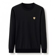 秋季男装圆领印花卫衣春秋2023新款中年商务休闲男士长袖上衣，男装卫衣，电商B212（原钱塘6029）