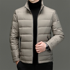 BN23306钱塘2020-2冬季时尚休闲厚款中年男士90鸭绒羽绒服P150，男装羽绒服，钱塘207-2