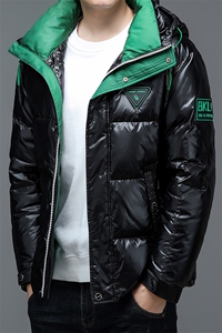 AC8901钱塘2020-3冬季羽绒服白鸭绒防寒保暖外套男加厚P225图片