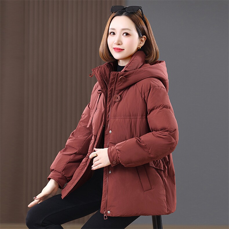 羽绒服冬季新款2024年羽绒服女加厚连帽中长款防风立领白鸭绒,女装羽绒服,涵誉