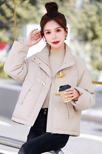 牛角扣羽绒服女短款2025冬新款小个子加厚时尚立领白鸭绒保暖外套图片
