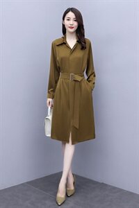 2021年秋季 纯色 通勤 淑女 长袖 中长款 系带 口袋 连衣裙图片