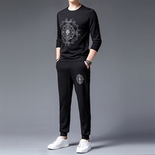 正品新款男士春秋季时尚套装圆领卫衣印花商务休闲长裤中年两件套，男装休闲套装，电商B212（原钱塘6029）