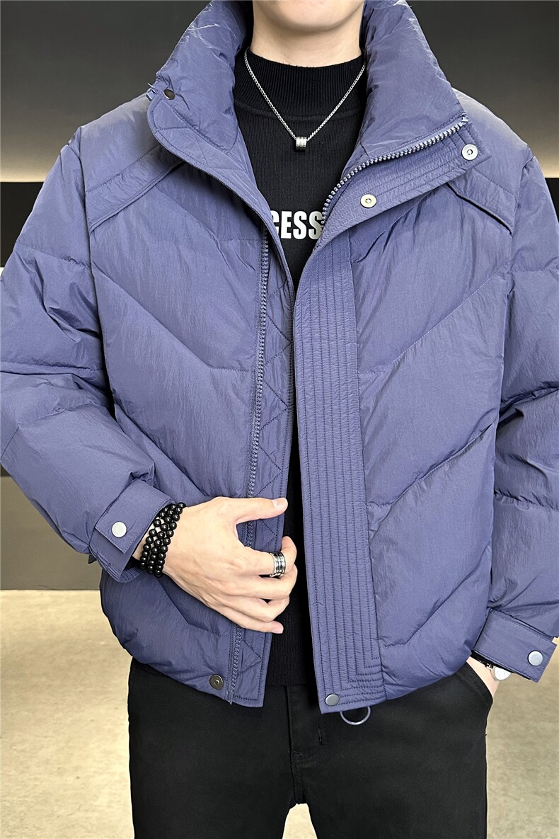90%标白鸭绒2025冬季立领休闲短款加厚羽绒服外套M8752-P290,男装羽绒服,电商A413