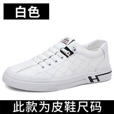 白色