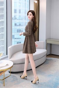 冬季新款现货，羊毛呢料外套连衣裙图片