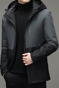 灰鸭绒中青年可托拆卸帽休闲羽绒服冬季保暖上衣ZSab21006-P285，男装羽绒服，电商B212（原钱塘6029）