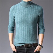 BSS98070男士2023年秋新款长袖高翻领纯羊毛针织衫休闲青年P150图片