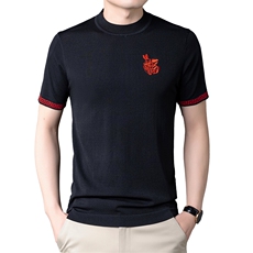 男士短袖t恤时尚休闲夏天宽松2023夏季新款中年打底衫上衣服体恤，男装T恤，电商B212（原钱塘6029）