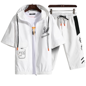 夏季开衫短袖套装男老鹰印花宽松休闲套装A158-S208图片