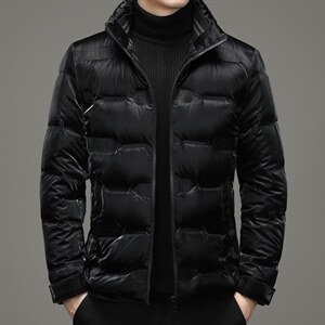 白鸭绒中年男休闲立领羽绒服保暖爸爸装短款羽绒服男YL5806-P275图片