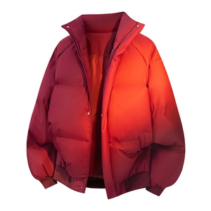 立体新款冬季羽绒立领PU皮棉服棉袄韩版宽松外套A436-2522-P80图片