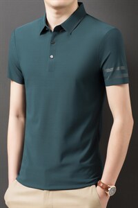 2023夏季新款短袖翻领衬衫T恤上衣POLO衫中青年男士商务休闲男装图片