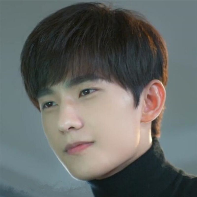 Wig for Men, Short, Fluffy, with Bangs, Short Straight Hair, Handsome, Realistic, Stylish, Suitable for Male and Female Students, Korean Style, Casual Black Hairpiece