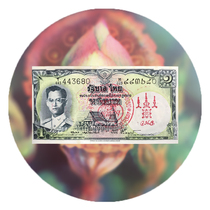 Domestic spot 2536 LP Yi paper red stamp with DDPRA identification card spot Baye Workshop