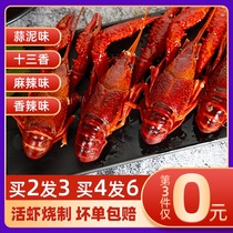 (Buy 2 Fat 3) Spicy Little Lobster 79 Money 750g Heating ready-to-use boxed live cooked food thirteen fragrant and spicy