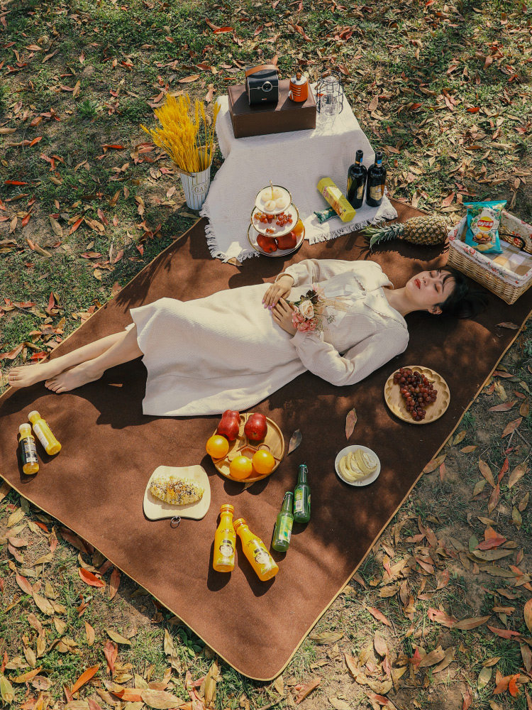 Picnic mat moisture-proof mat picnic outdoor mat waterproof outing portable picnic cloth pastoral Japanese spring outing ins wind