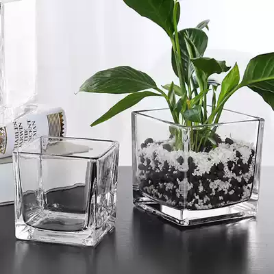 Square glass vase simple thickened square cylinder large vase glass transparent desktop ornaments hydroponic container